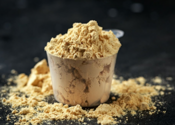 vegan protein powder