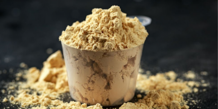 vegan protein powder