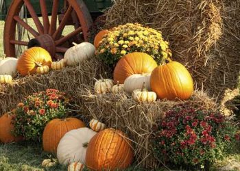 The Top 7 Fall Festivals in CT You Can't Miss