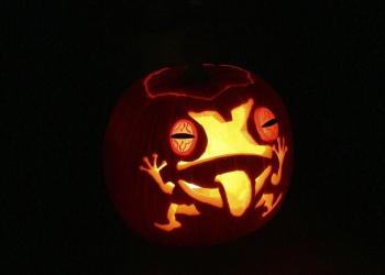Horror Frog