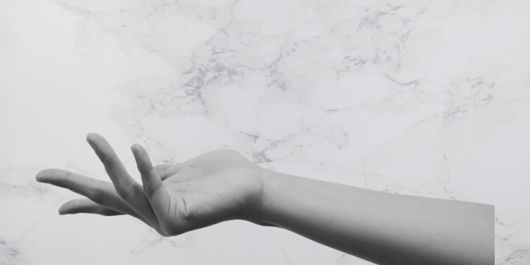 What if humans never existed