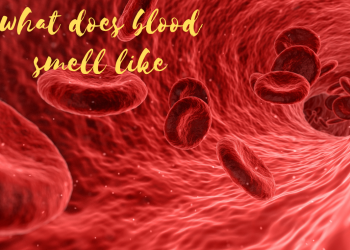 what does blood smell like