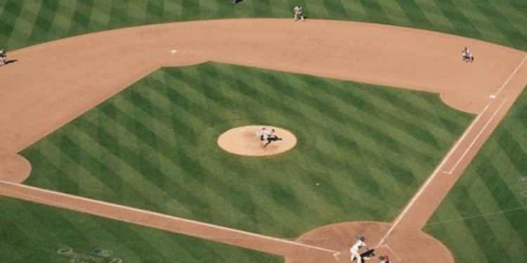 Sports Facility Management