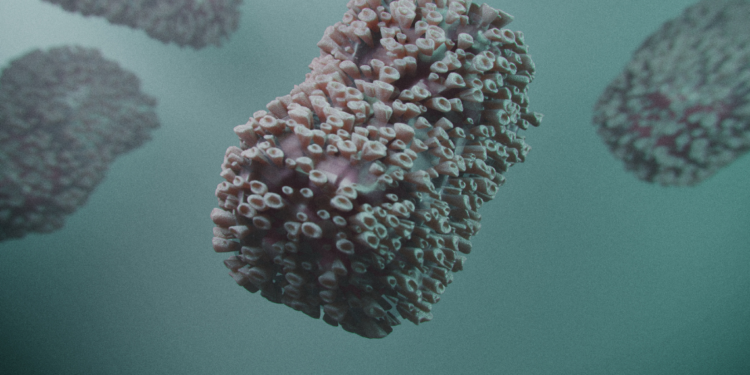 Incredible Monkeypox Pictures You Won't Believe