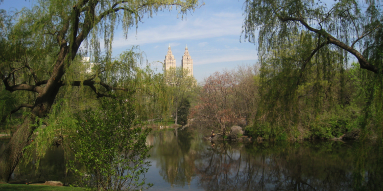 Pond Ecosystem: Brief Introduction