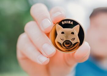 Shiba Inu token