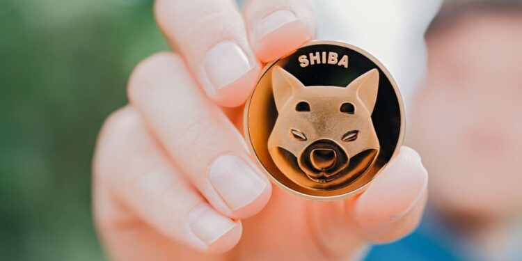 Shiba Inu token