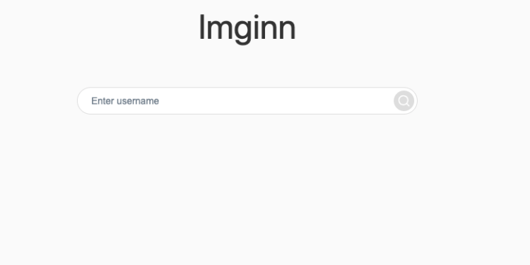 Imginn