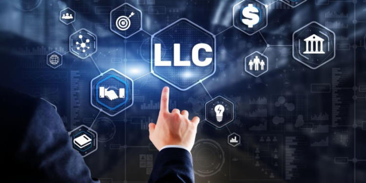USA LLC Formation