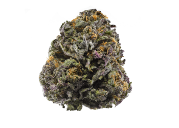 Watermelon Runtz Strain