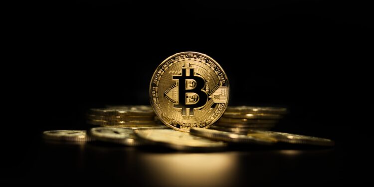 yanbitex