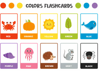 Montessori for Kids